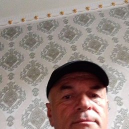 , , 50 