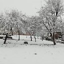 ���� �����, ������, 35 ��� - ��������� 1 ����� 2024 � ������ ���� ����������