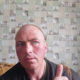 , 36, 
