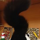 ���� ���������, ������, 60 ��� - ��������� 1 ��� 2025 � ������ ���� ����������
