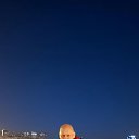 ���� ���������, ����, 42 ���� - ��������� 12 ���� 2026 � ������ ���� ����������