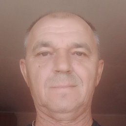 ������, �����, 55 ���