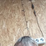 �������, 40 ���, ����������