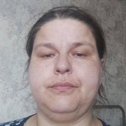 ����, ����, 41 ���