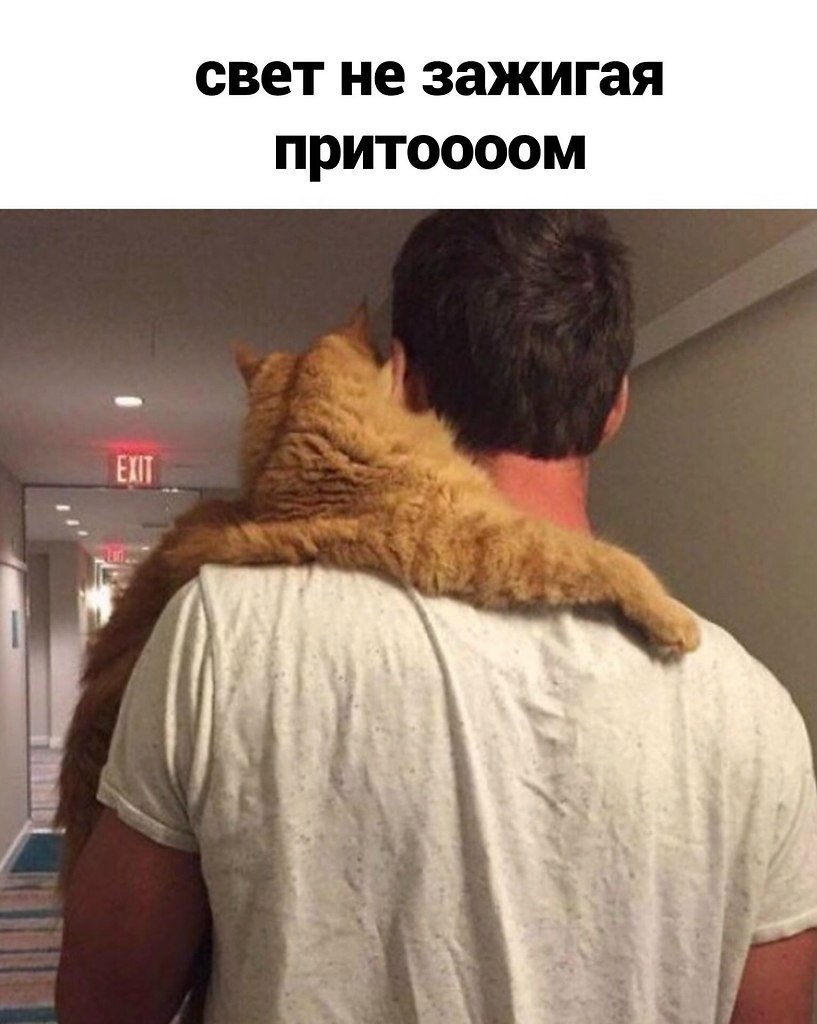 ����... �������? - 2