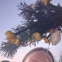 ���� �������, �����-���������, 40 ��� - ��������� 8 ������� 2025