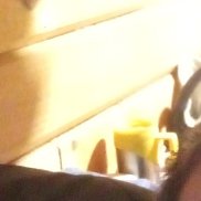 ������, 31 ���, �����������