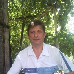 ���� ���������, ���������� - ��������� 10 ������ 2024