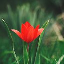 ���� ���������, ����������, 22 ���� - ��������� 4 �������� 2024 � ������ ���� ����������