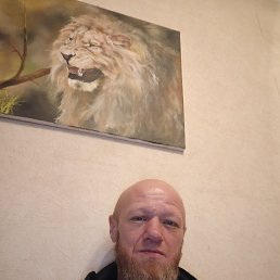 ���� ��������� ��������, ������, 42 ���� - ��������� 22 ������ 2025