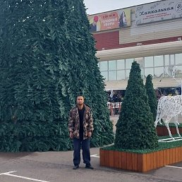 ���������� ����, ������, 26 ���