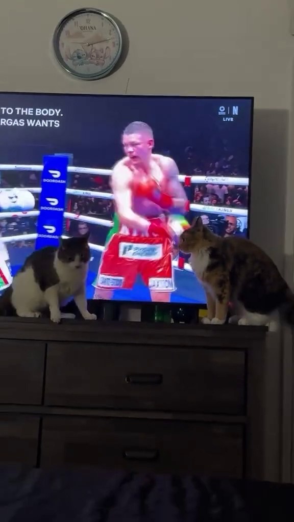 ���, ��� ������, ������� �� �����!) - 2