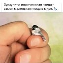 ���� ��������, ������, 84 ���� - ��������� 2 ��� 2026 � ������ ������ ��������