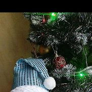 ����, 56 ���, ���������