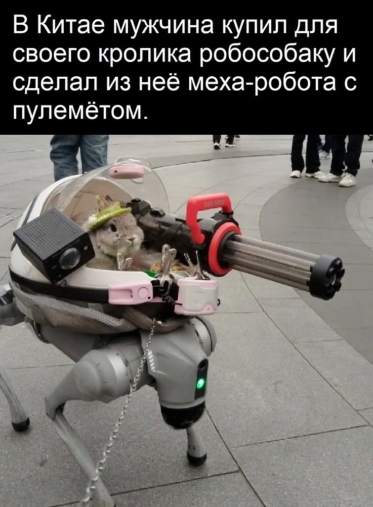   - 10  2025  15:03