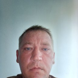, 41, 