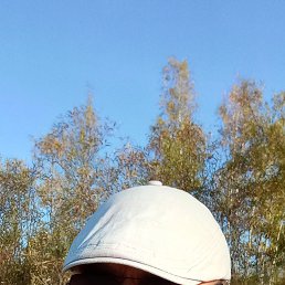 , 33, 