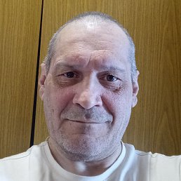 ,  , 51 