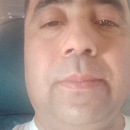 ������, ������, 41 ���