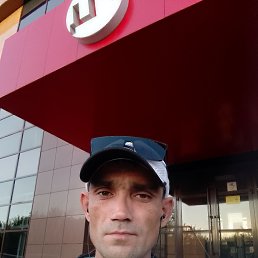 , 37, 