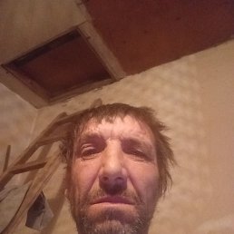 , 53 , 