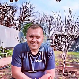 �����, 56 ���, ������������