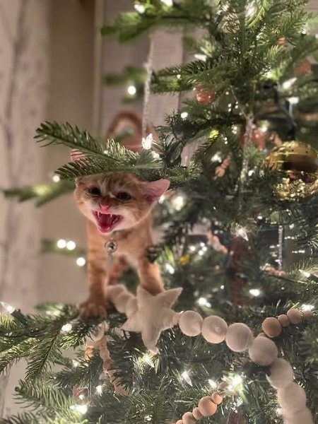 ������ ����, ������ ���� � ������ ����� ��� � ��� ������������ ��� �������)))