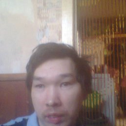 , 41, 