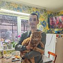 ���� �����, ������������ - ��������� 8 ������ 2026 � ������ ���� ����������