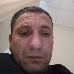 �����, �����, 41 ���