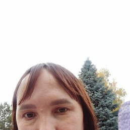 , 39, 
