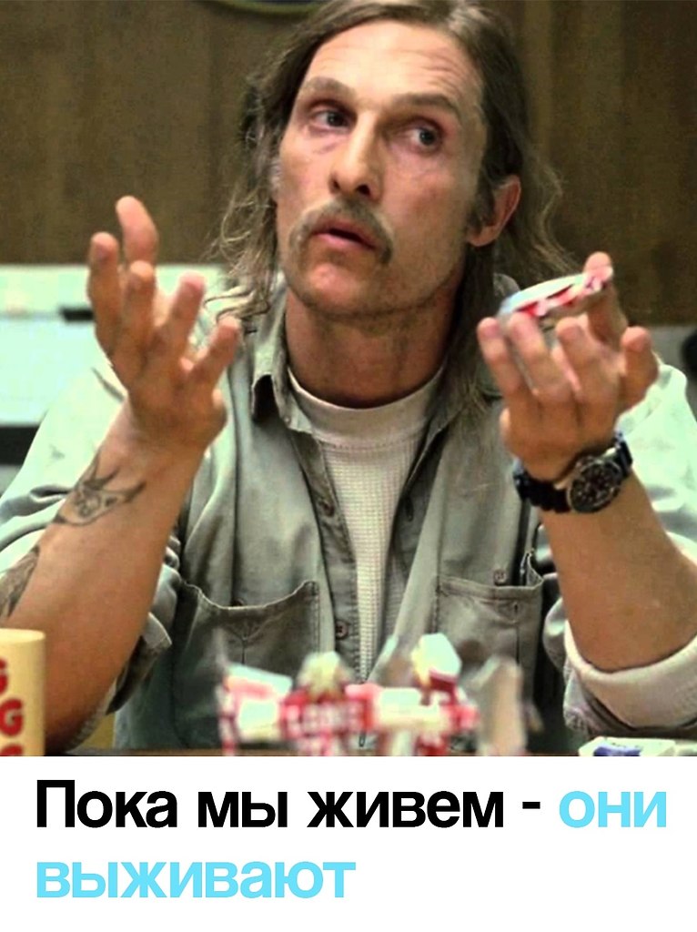  - 11  2025  17:50 - 3