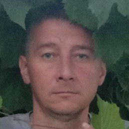 �������, ������, 41 ���