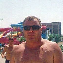 �����, ����������, 53 ����