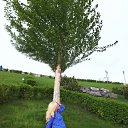  Vesna)),  -  18  2025    