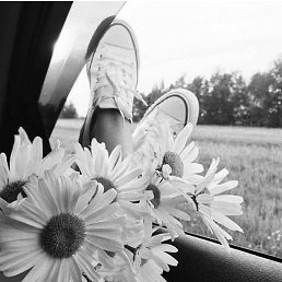 Daisy, ����, 44 ����
