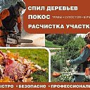 ���� ��������, ������-��-����, 38 ��� - ��������� 17 ������� 2026 � ������ ������ ��������