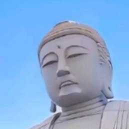 Heins, �����, 36 ���