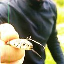 ���� ������, ������, 35 ��� - ��������� 2 ������ 2023