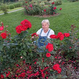 , 59, 