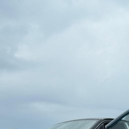 �������, ��������, 61 ���