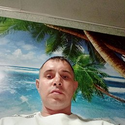 �������, 41 ���, ����