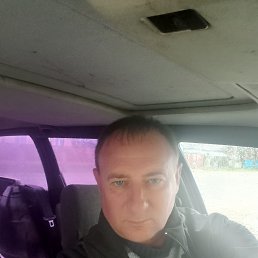 , 51, 