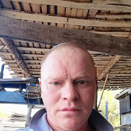 ������, 41 ���, ������������