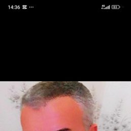 , 53, 