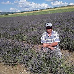 ������, �����