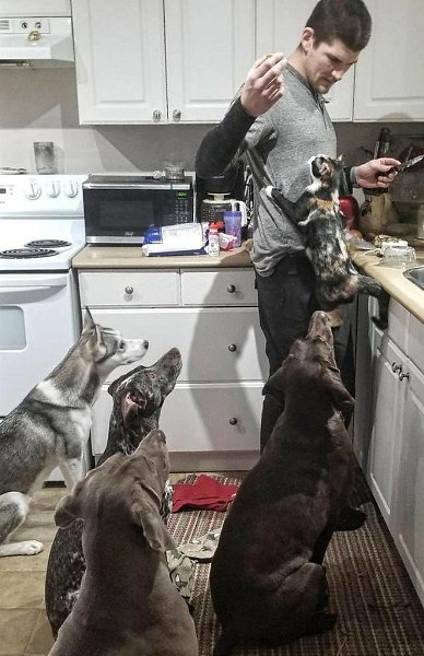 � ��� ������, ����� �������� ����