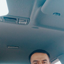 �����, 37 ���, ���������