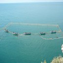 ������� ����� �� ������