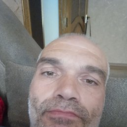 , 44, 